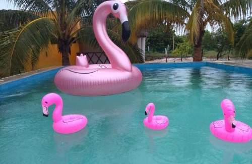 Isla Arena Cabin | Carey Cabañas