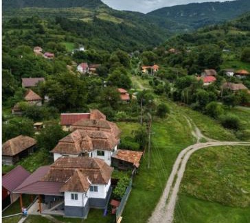 Ocolis House | Carla House