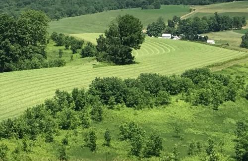 Walnut Creek Hotel | Carlisle Inn Walnut Creek