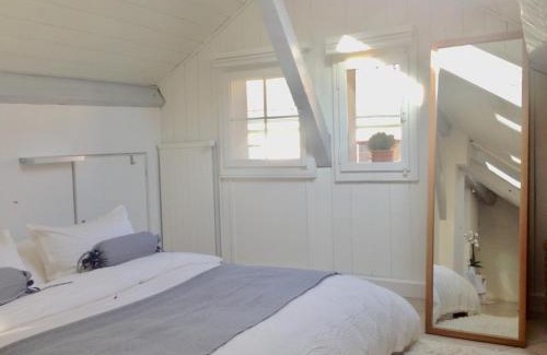 Carouge Apartment | Carouge Loft Apartment
