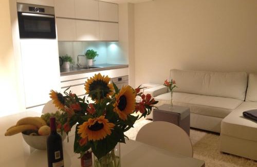 Carouge Apartment | Carouge Loft Apartment