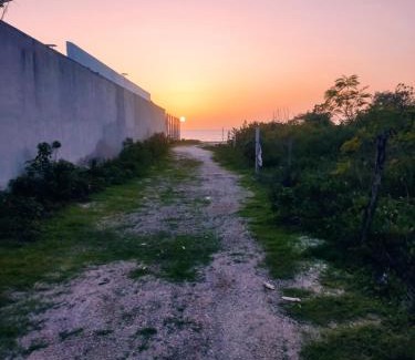Celestun Apartment | Casa 3 flamencos - habitación independiente y apartamento