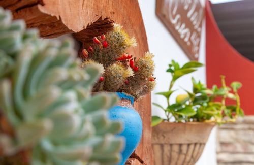 Municipality of Cienaga de Zapata House | Casa 46 Playa Larga