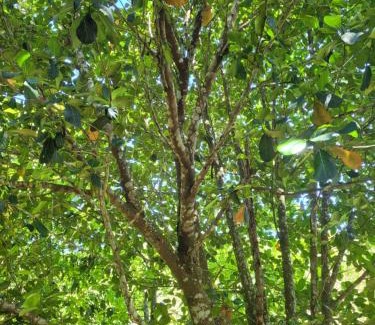 Serra Negra House | Casa aconchegante em lugar lindo e cheio de Paz