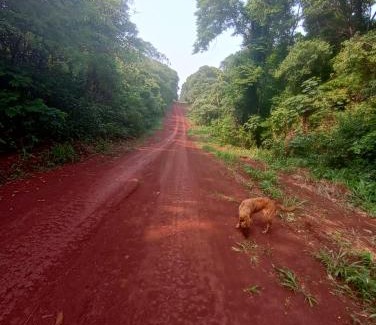 Eldorado House | Casa amplia y moderna