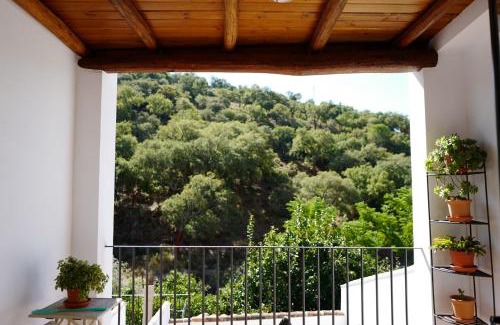 Alajar House | Casa Antonio