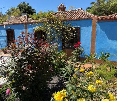 Brena Alta House | Casa Asuncion