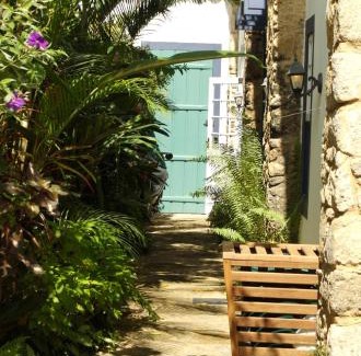 Historic Center House | Casa Beijaflor