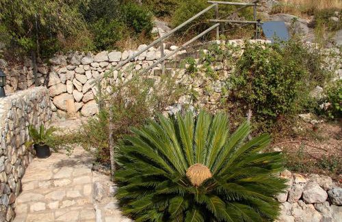 Selva House | Casa Bella Mirada