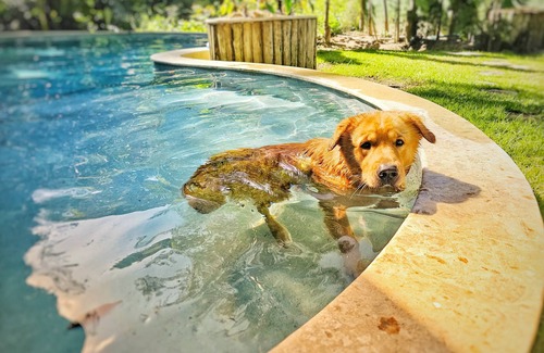 Arraial d'Ajuda House | Casa Bem Bahia Arraial, in the Atlantic Forest, Perfect for resting or celebrating