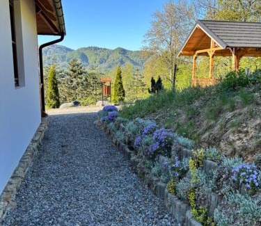 Viseu de Sus House | Casa Berg