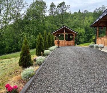 Viseu de Sus House | Casa Berg
