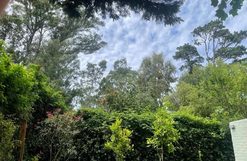 Bosque Peralta Ramos Cabin | Casa-Bosque