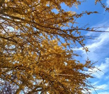 San Pedro de Atacama House | Casa Buenavista