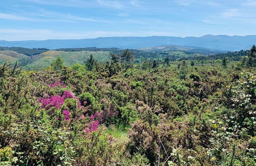 A Caniza Villa | Casa Cañiza (319), large farm with natural pool