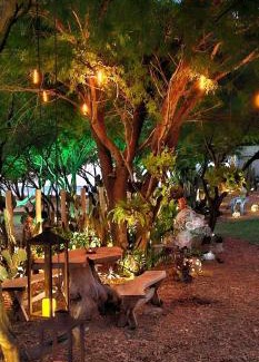 Macau Bed & Breakfast | Casa Cactus Praia