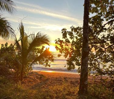 Nuqui Cabin | Casa Caimito