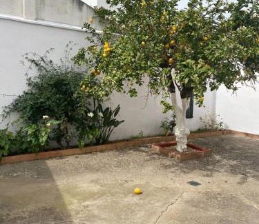 Umbrete House | Casa Centrtrica Umbrete