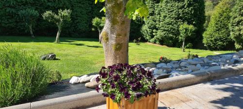 Mazaricos Apartment | Casa Chelo Alojamientos Turisticos