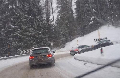 Caldes House | Casa Ciclamino Val Di Sole 10 pax 7 nights