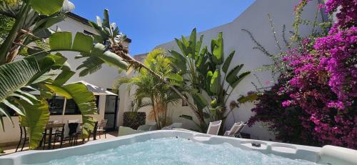 El Rincon House | Casa Cleo