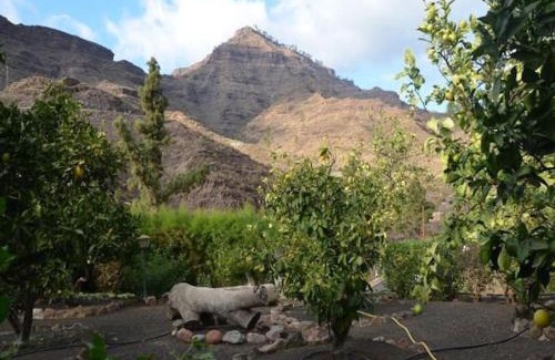 Mogan Apartment | Casa Colonia