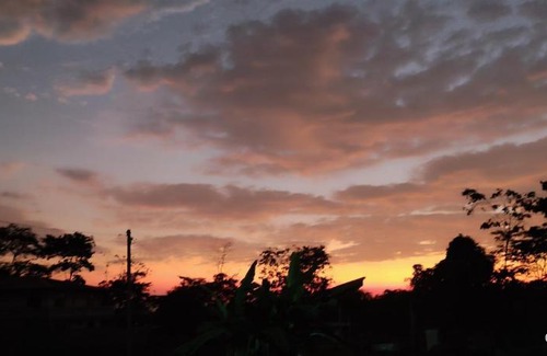 Acacias Apartment | Casa colonial