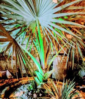 Itapoa House | Casa com piscina Itapoá Itapema do Norte