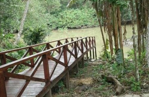 Jiboia Branca House | Casa condomínio COP30 Arbre