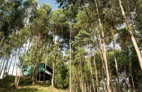 Flores da Cunha House | Casa Container FIGO em meio a natureza na Serra Gaúcha