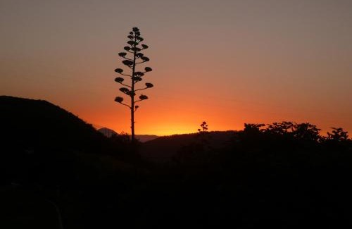 Artenara House | Casa Cueva El Molino By Artenatur