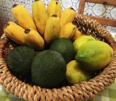 Porto da Cruz House | Casa d'Olívia