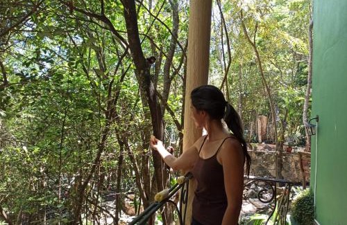 Ibicoara House | CASA DA MATA descanso e sossego na natureza