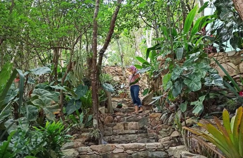 Ibicoara House | Casa da Mata Rest and quiet in nature