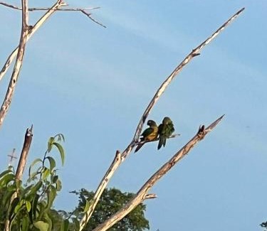 Itaberaba House | Casa de campo a 2,5 km de Itaberaba