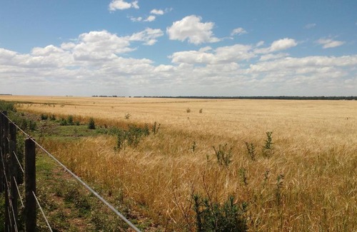 Partido de Tres Arroyos House | Casa de campo con buena vista en Claromecó