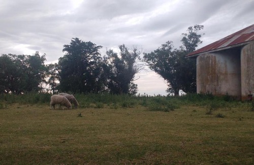 Partido de Tres Arroyos House | Casa de campo con buena vista en Claromecó