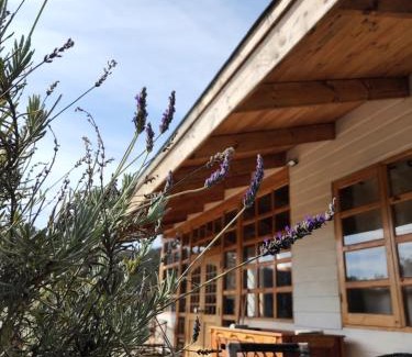 Zapallar House | Casa de Campo Catapilco