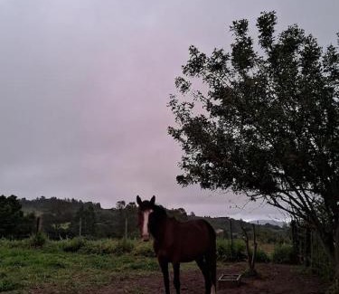 Itapua House | Casa de Campo com Açude a 5 minutos da Praia de Itapuã