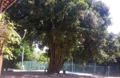 Mata de Sao Joao House | Casa de dois quartos no paraíso de Praia do Forte