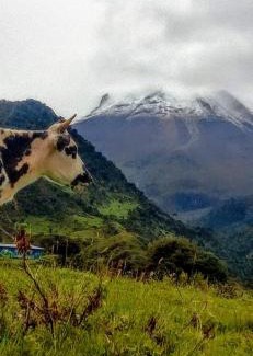 Ibague Ski Chalet | Casa de Eventos y Hospedaje Pico de Oro