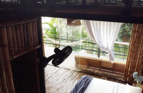 Purificacion House | Casa de las Guacamayas