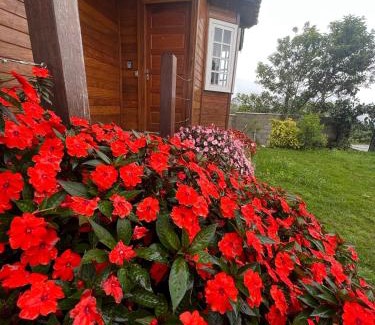 Lavras Novas Ski Chalet | Casa de madeira em Lavras Novas