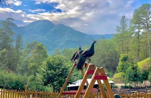 Jarabacoa Villa | Casa de Montaña Villa Maya