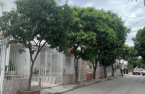 Mamatoco House | Casa de Vacaciones Santa Marta!