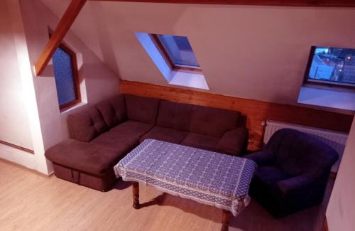 Borsec House | Casa de vacanta la Kerek