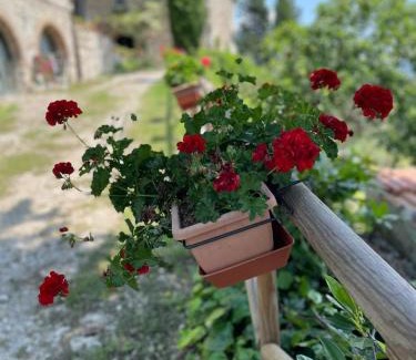 Castellina in Chianti House | CASA DEGLI ULIVI - COTTAGE WITH SWIMMING POOL