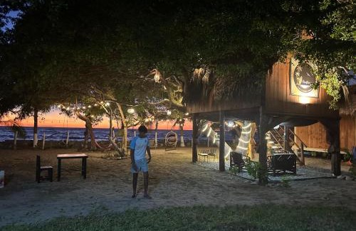 Saladita House | Casa del Árbol Barra la Saladita