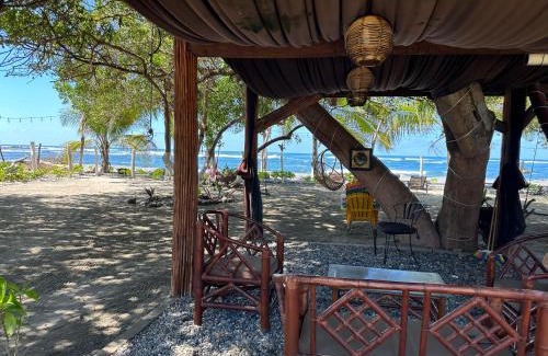 Saladita House | Casa del Árbol Barra la Saladita