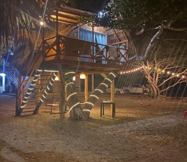 Saladita House | Casa del Árbol Barra la Saladita